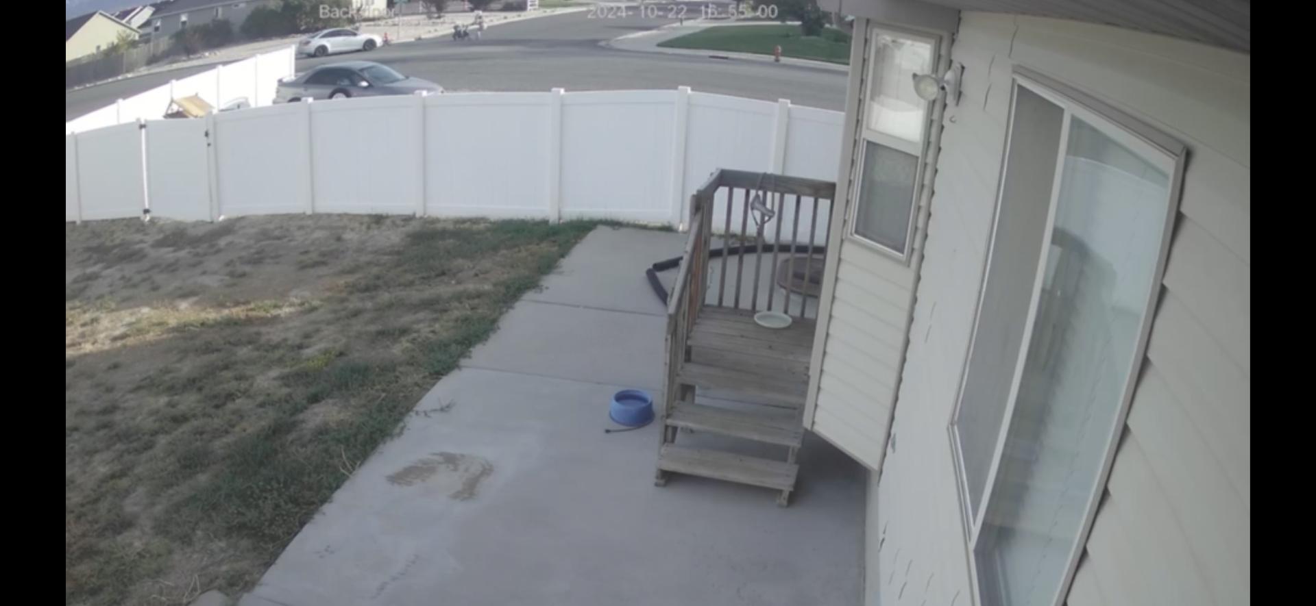 Ring doorbell footage from the Marshall's neighbor captured the moment when Kylie Marshall and her baby were hit by a car Tuesday in Grantsville.