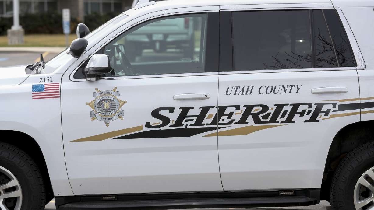 A Springville elementary school skills coach was arrested Monday and accused of possessing child sexual abuse material.