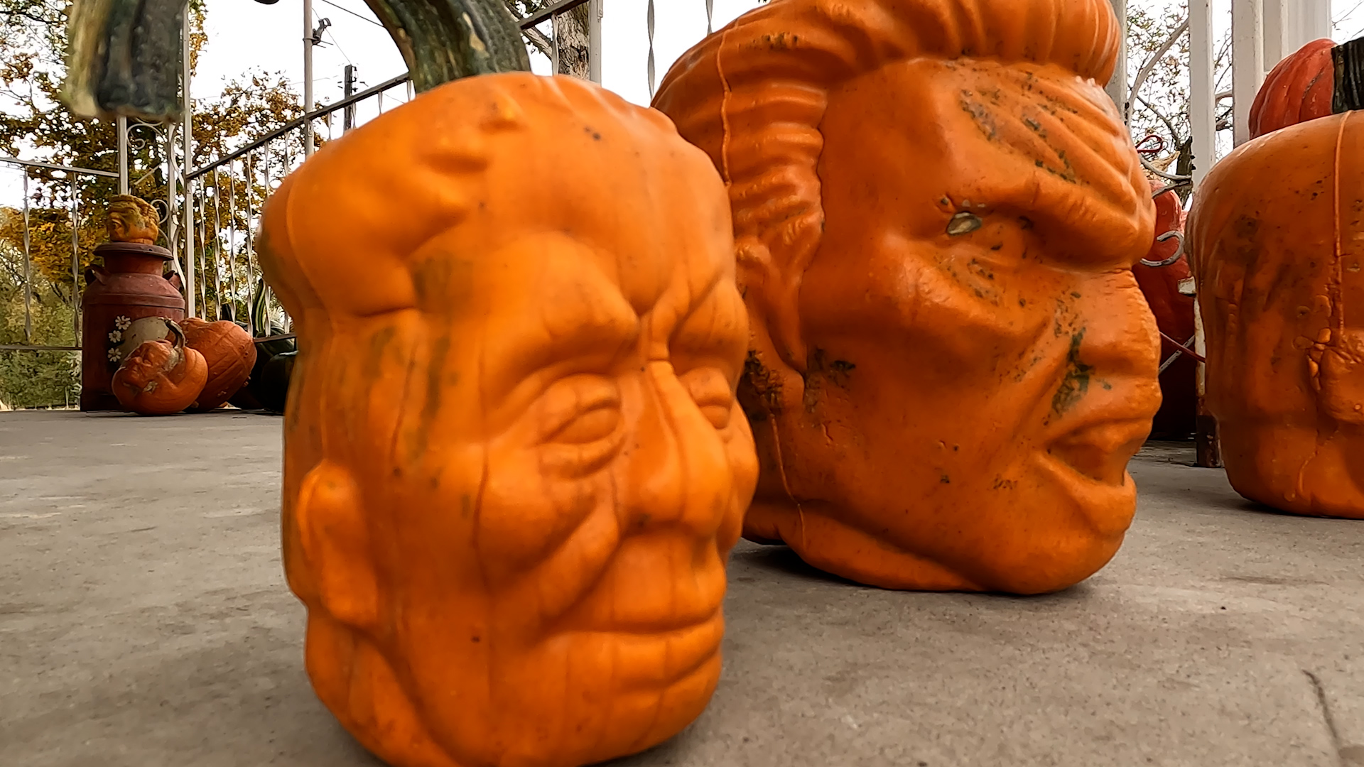 Family quits dairy farming for novelty pumpkins