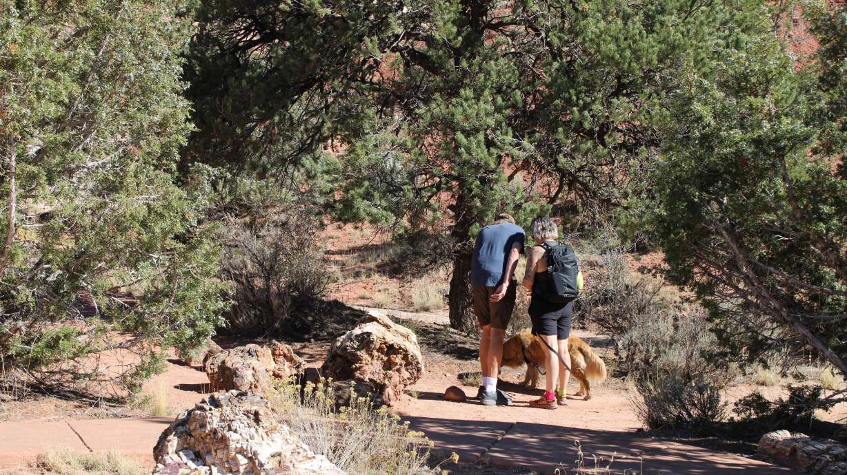 Escalante Petrified Forest State Park is pictured Oct. 24. Legend has it that "bad things" happen when people take petrified rocks out of the park.