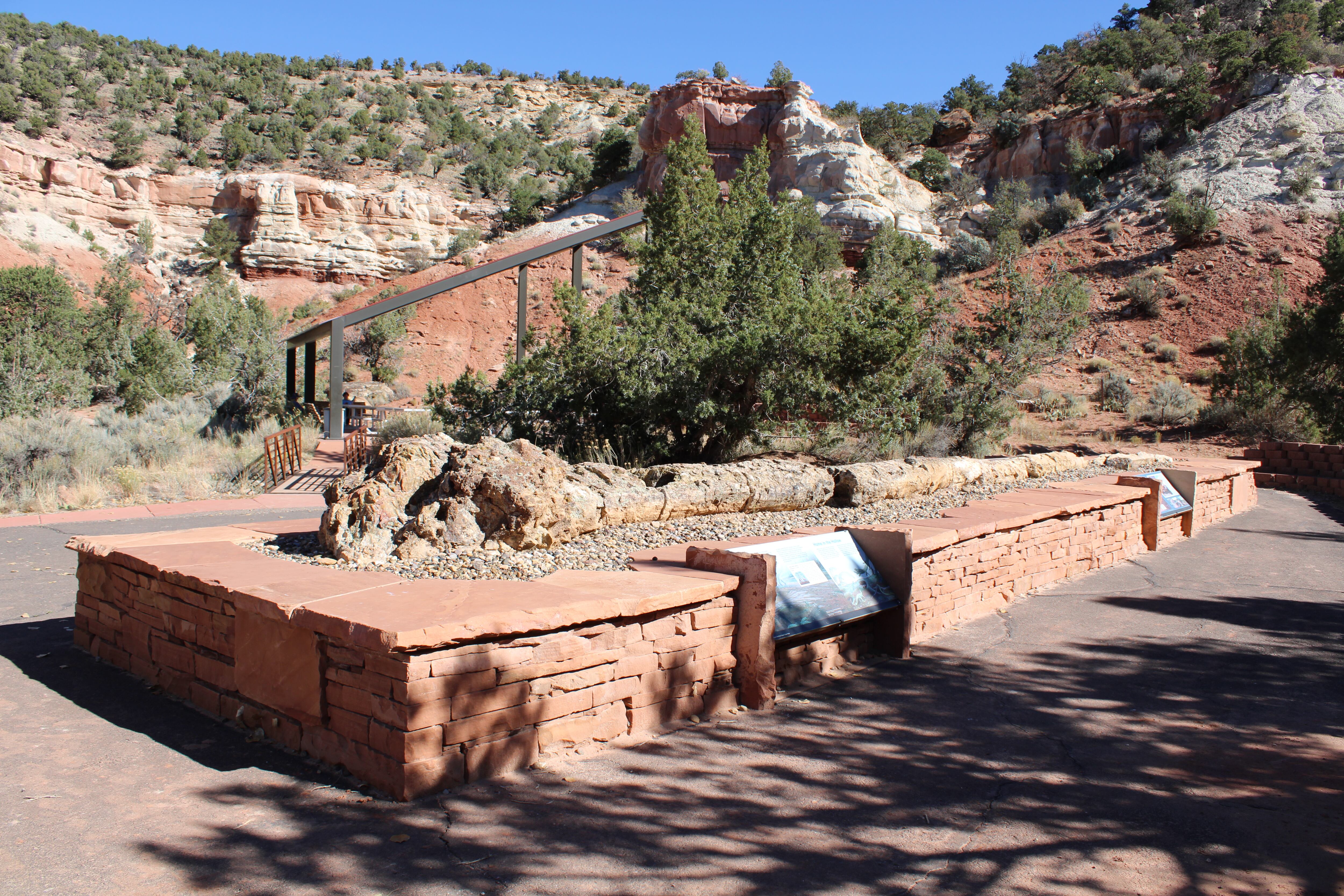 Escalante Petrified Forest State Park is pictured Oct. 24. Legend has it that bad things happen to people who take rocks out of the park.