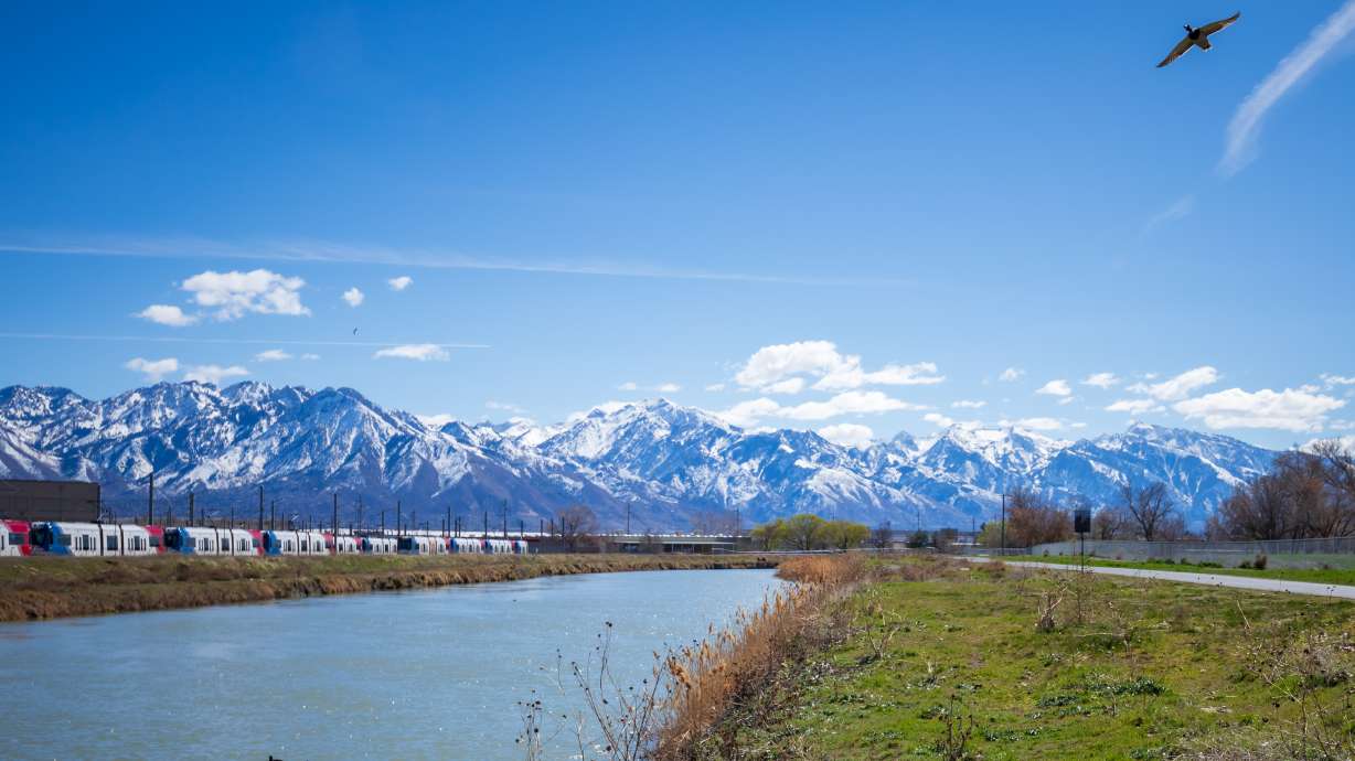 A duck flies over the Jordan River near Redwood Trailhead Park in West Valley City on March 17. The park is by the northern edge of the Central Jordan River Reconnect project, which Salt Lake County is working on.