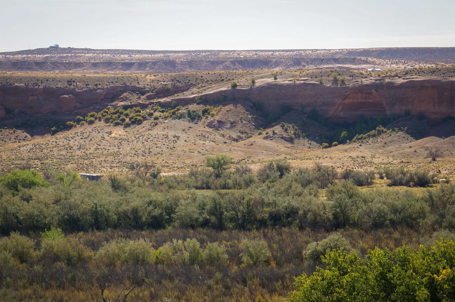 A section of land next to the San Juan River near where Mark Maryboy’s family farmed during his childhood, Sept. 19.