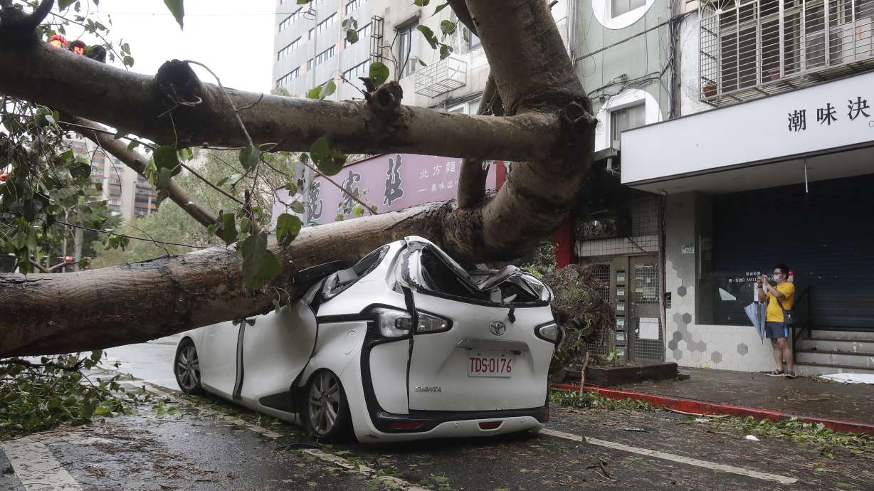 A man takes a photo of a car crushed by a fallen tree destroyed by the wind of Typhoon Kong-rey in Taipei, Taiwan, Friday, Nov. 1, 2024.