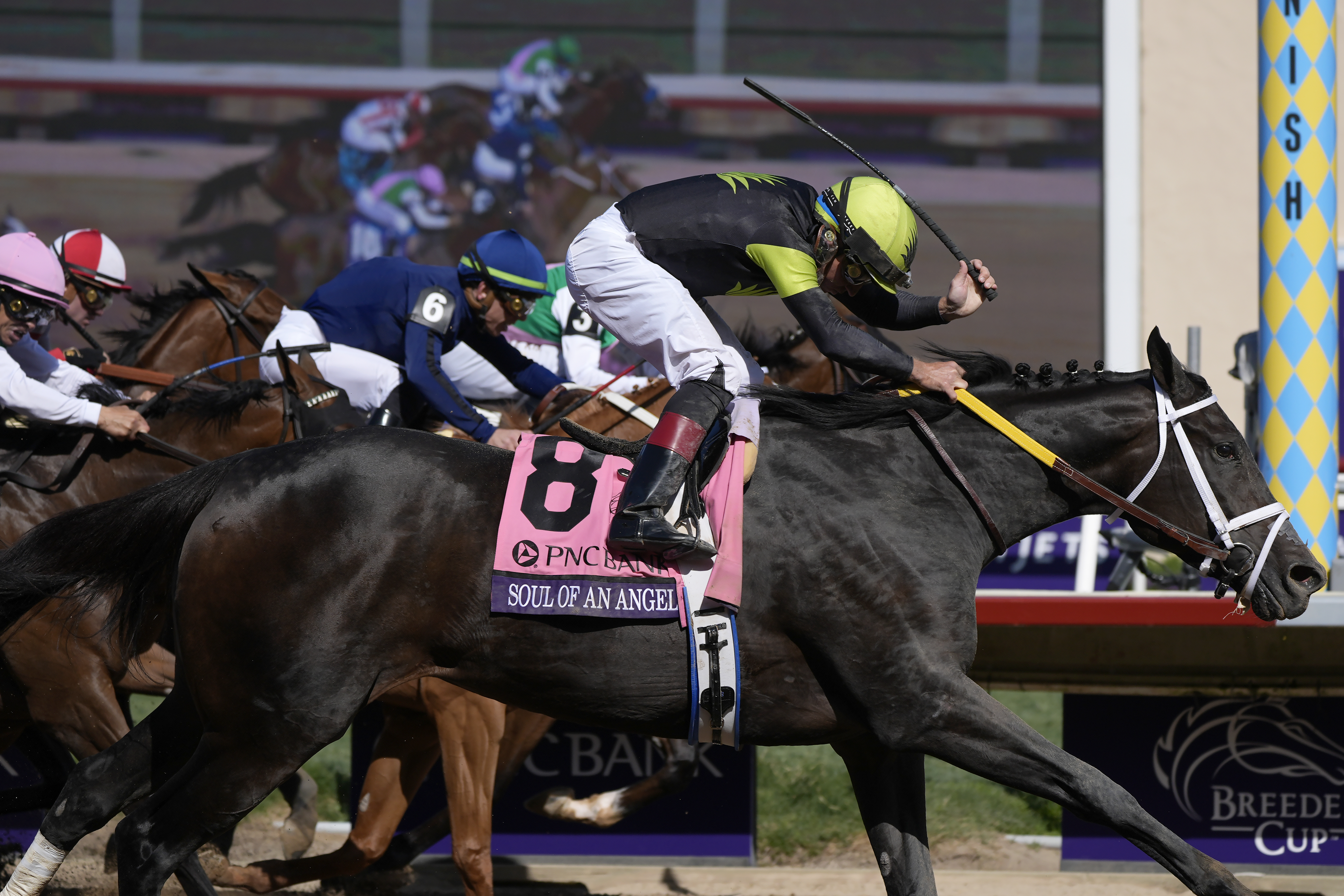 Drayden Van Dyke rides Soul Of An Angel (8) to victory in the Breeders' Cup Filly and Mare Sprint horse race in Del Mar, Calif., Saturday, Nov. 2, 2024.