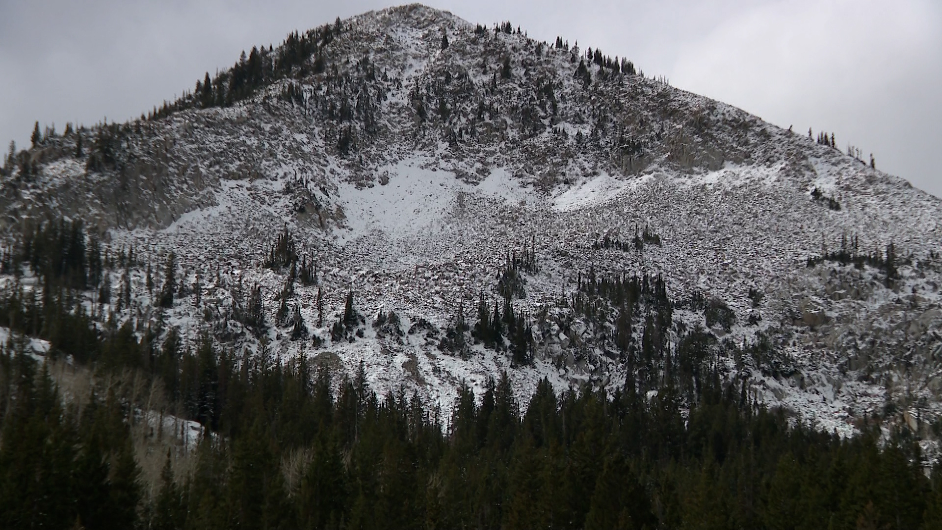 Snow caps the mountains in Big Cottonwood Canyon Saturday.