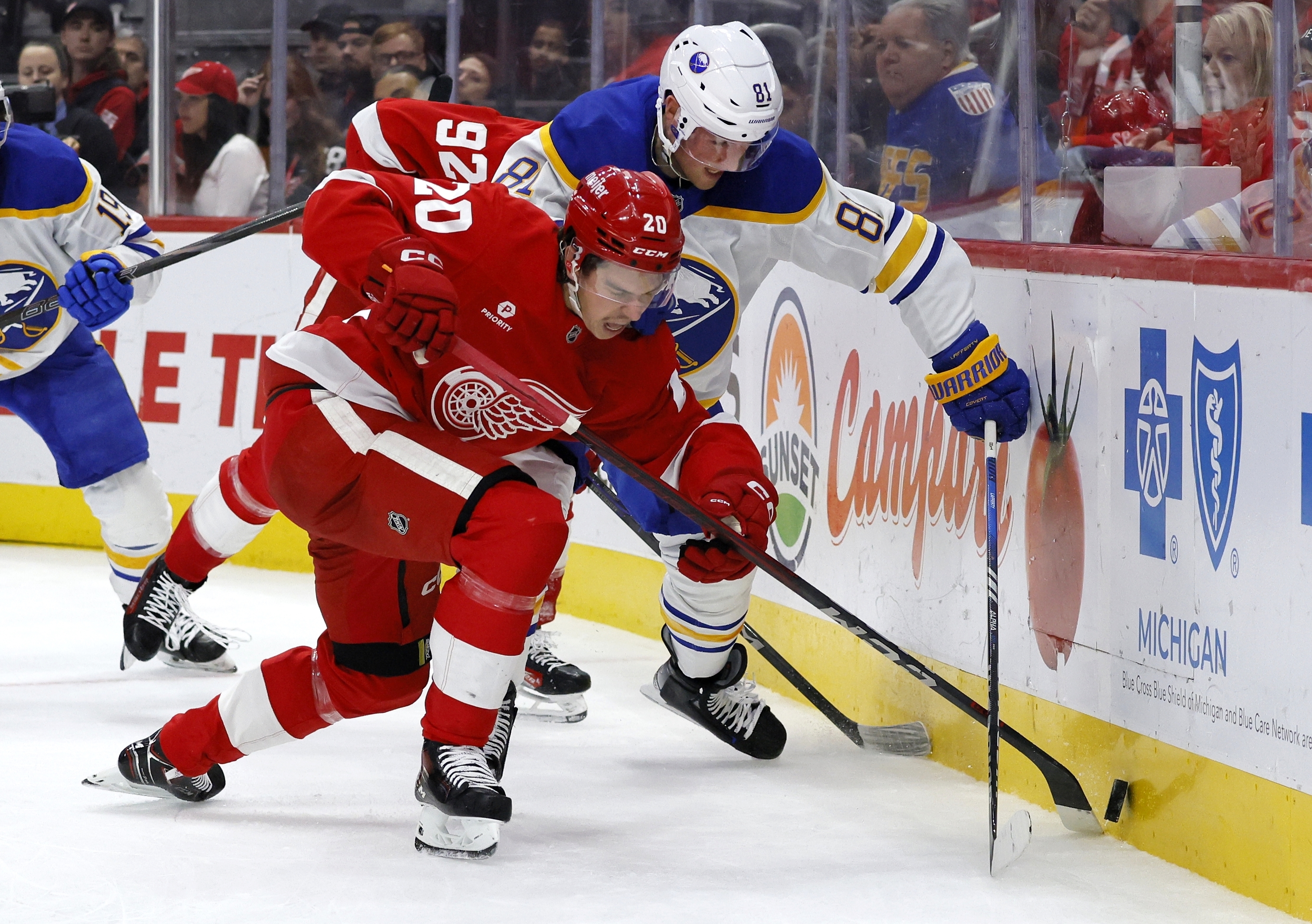 Detroit Red Wings defenseman Albert Johansson (20) and Buffalo Sabres center Sam Lafferty (81) try to get control of the puck during the second period of an NHL hockey game Saturday, Nov. 2, 2024, in Detroit.