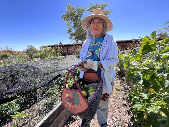 Eirene Hamilton gathers fresh produce in a basket at the community garden near Bluff, Sept. 18.