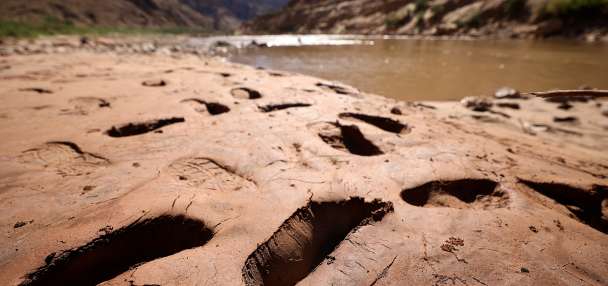 Will Lake Powell become Lake Mud? Inside the growing sediment crisis