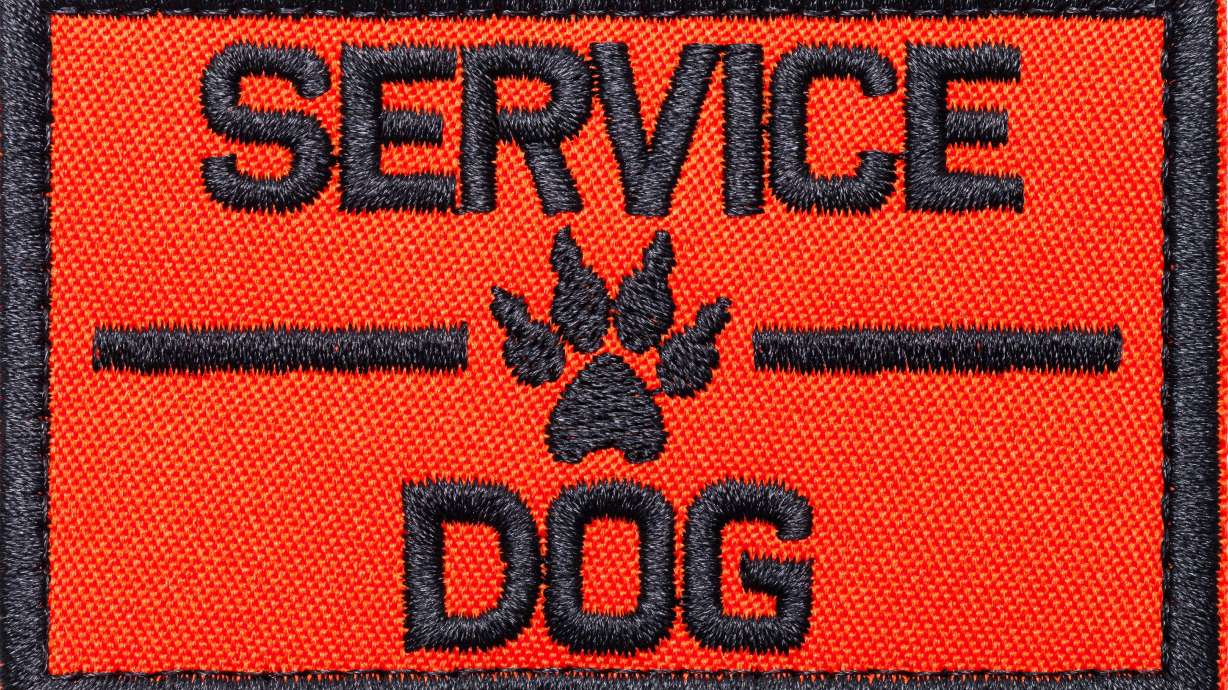 A South Florida woman is asking for the public's help after, she said, her service dog wandered away from home and ended up in the hands of someone else.