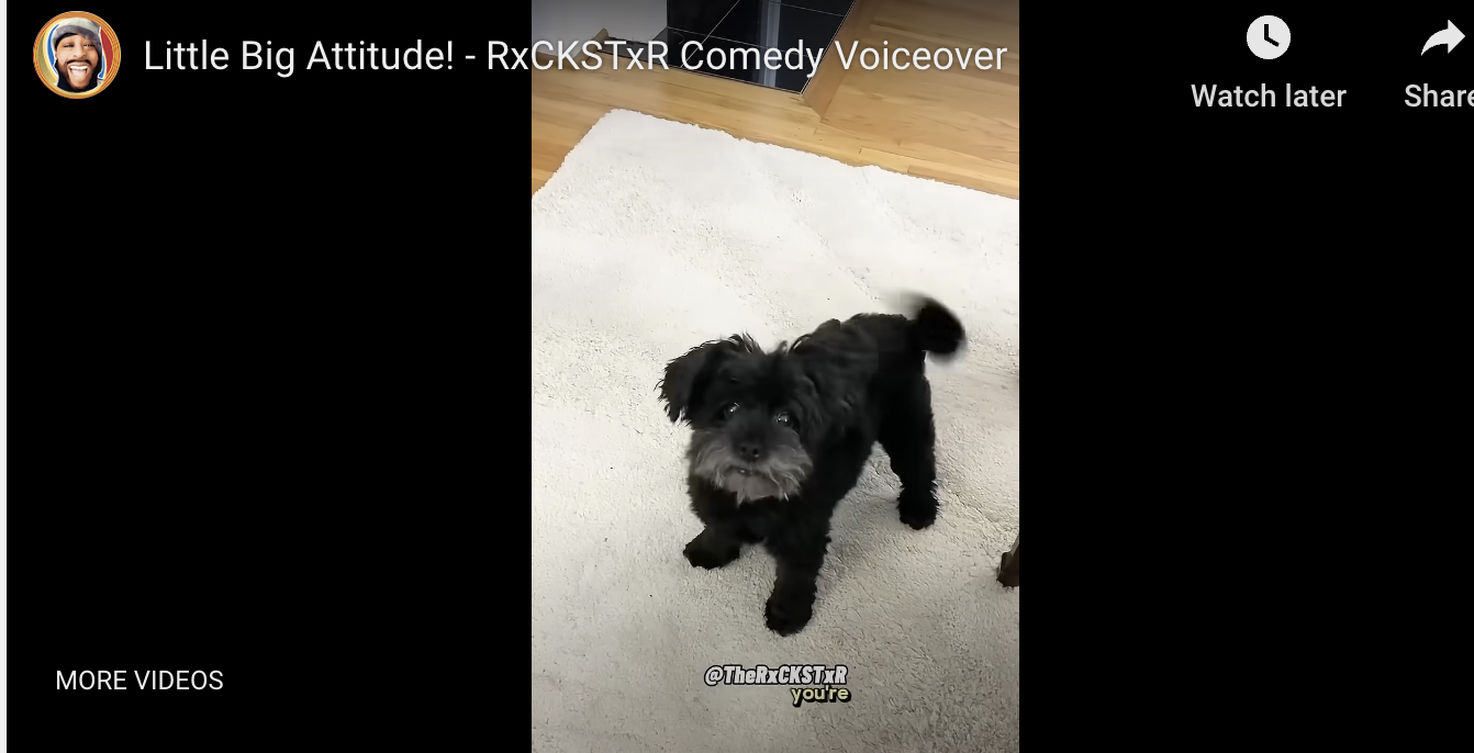 One YouTuber has given words to what he and others believe dogs might say in full, humanlike conversation.