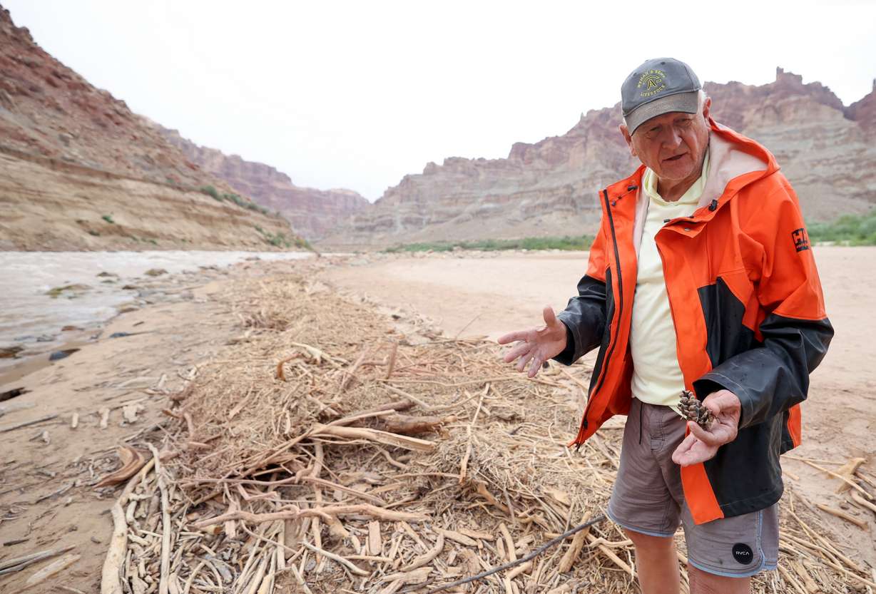 Jack Schmidt, USU’s Janet Quinney Lawson Colorado River Studies chair and Center for Colorado River Studies director, holds a pinecone he suspects was carried down river during a spring flash flood in Millcreek Canyon and deposited below Gypsum Canyon rapid, during a six day Colorado River trip in Cataract Canyon on Sept. 21.