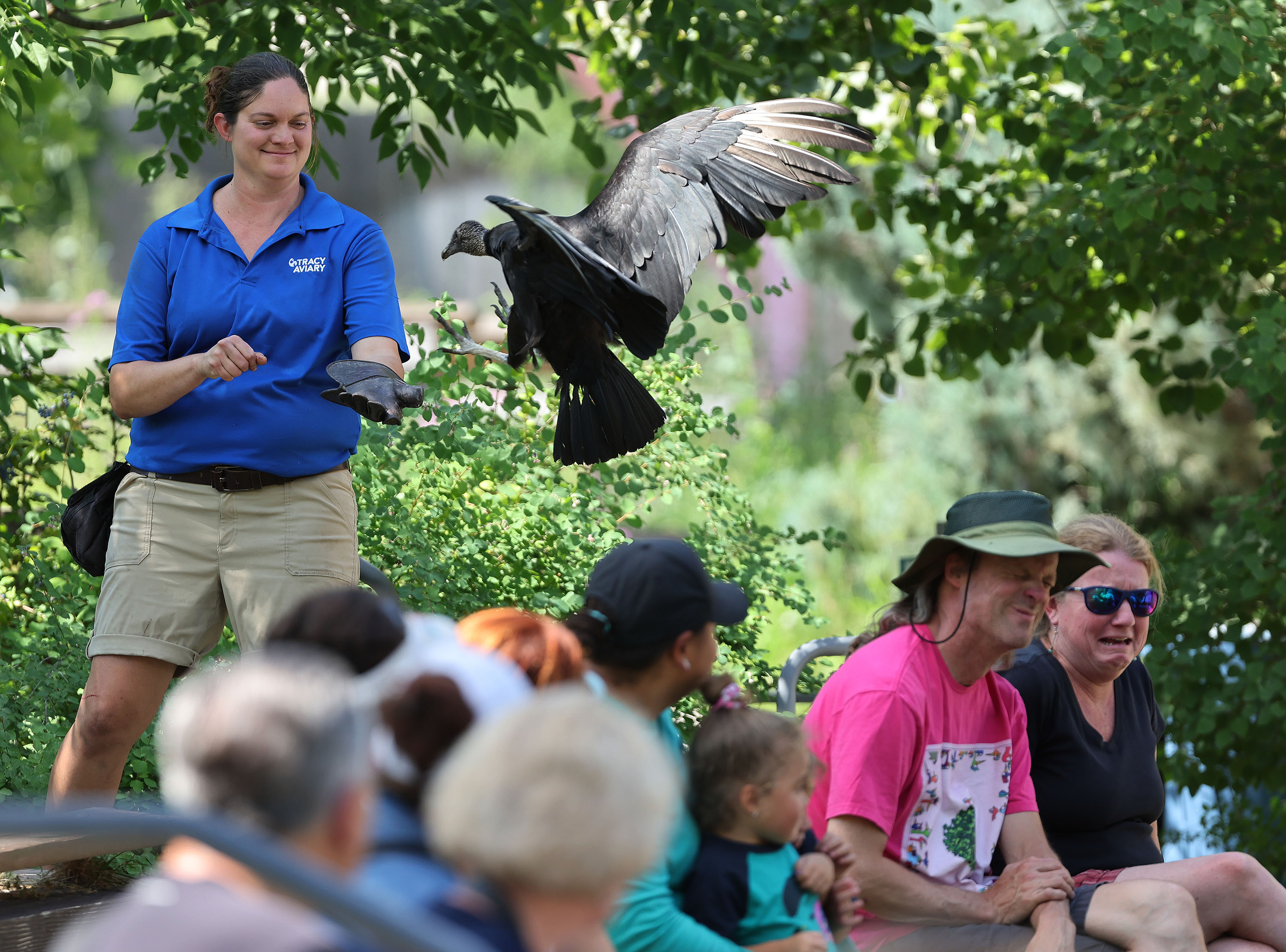 Bird Show manager Jackie Kozlowski calls a black vulture at Tracy Aviary at Liberty Park in Salt Lake City on July 17. An analysis from the Kem C. Gardner Policy Institute showed that Salt Lake County collected $36.7 million in ZAP tax revenue in fiscal year 2023.