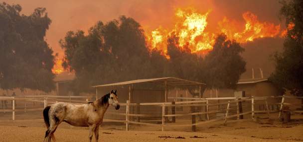 Southern California wildfire destroys 132 structures as officials look for fierce winds to subside