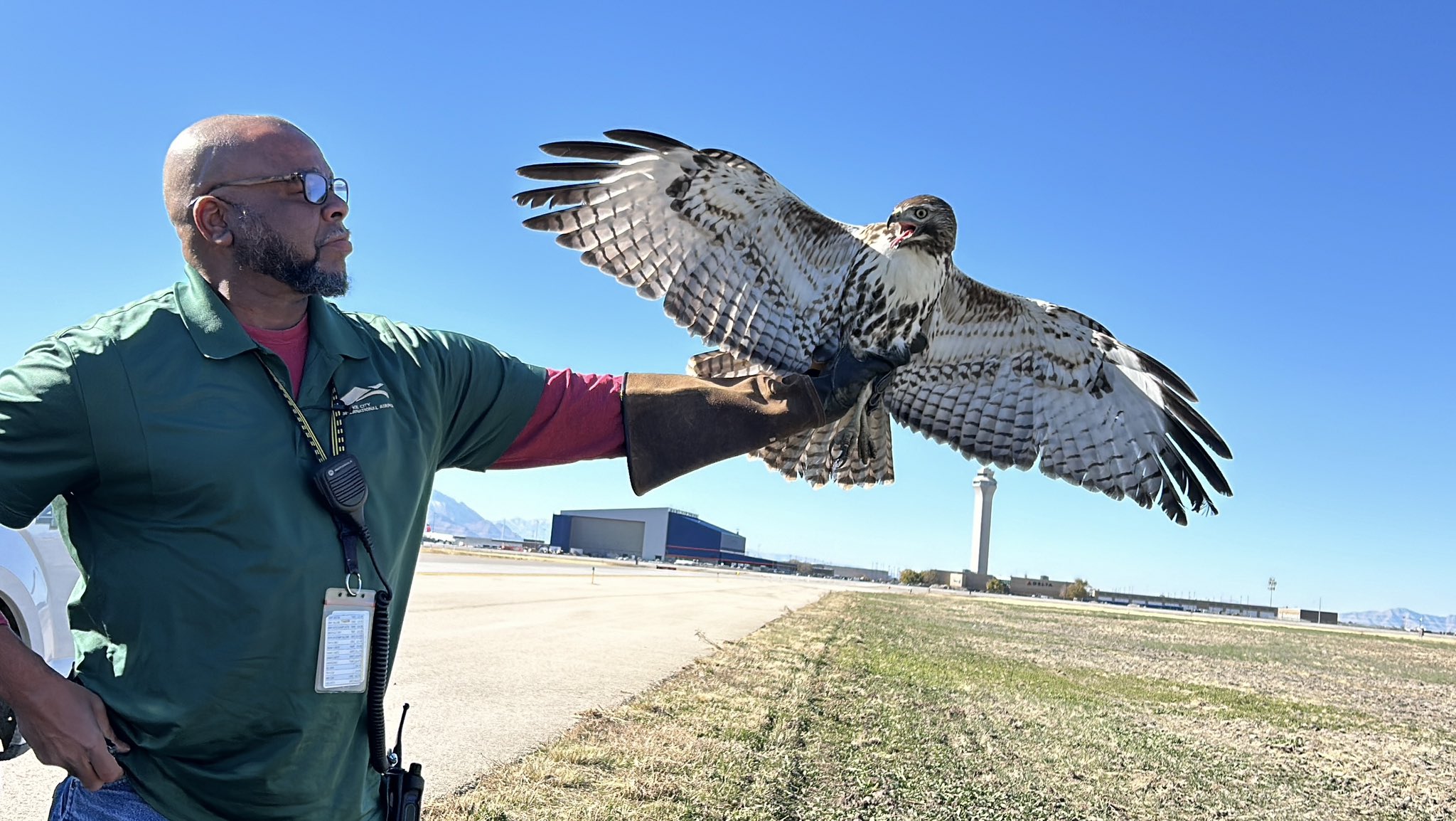 Airport wildlife mitigation team busy during fall migration season