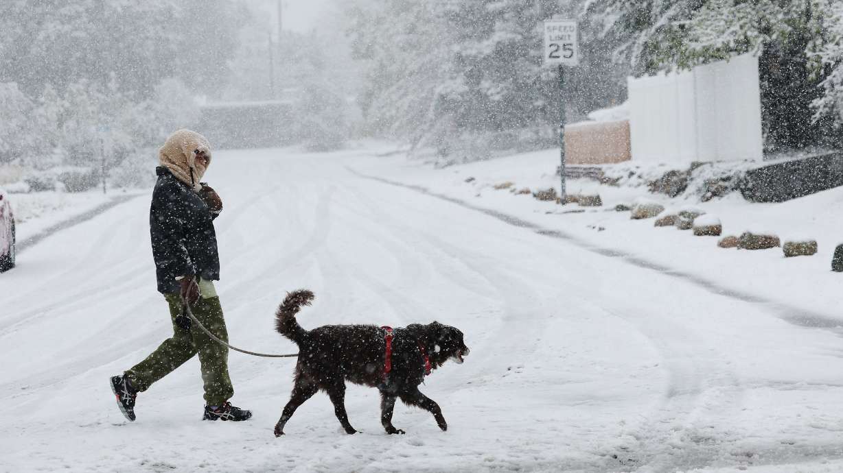 A dog walker makes their way through the snow storm in Cottonwood Heights on Tuesday. A small storm arrived in the Wasatch Front Tuesday morning but it is expected to taper off toward the noon hour and beyond.