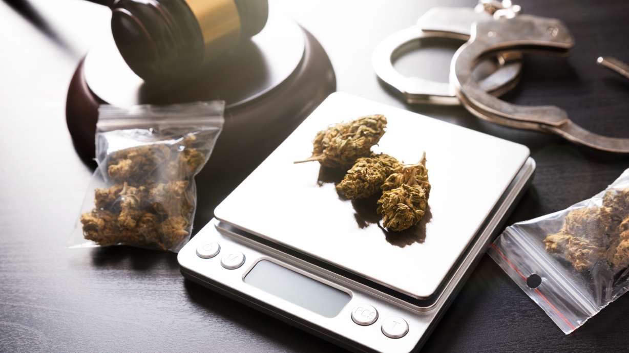 A minor traffic violation led to a big drug bust on I-80 on Monday.