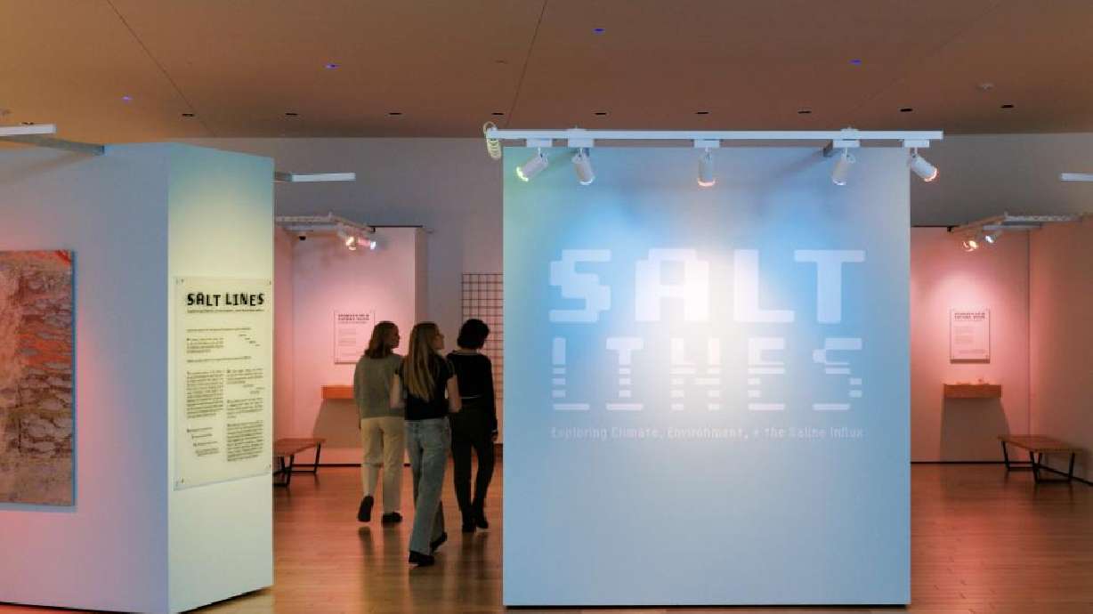 Fascinating exhibit portrays the role salt plays in the world