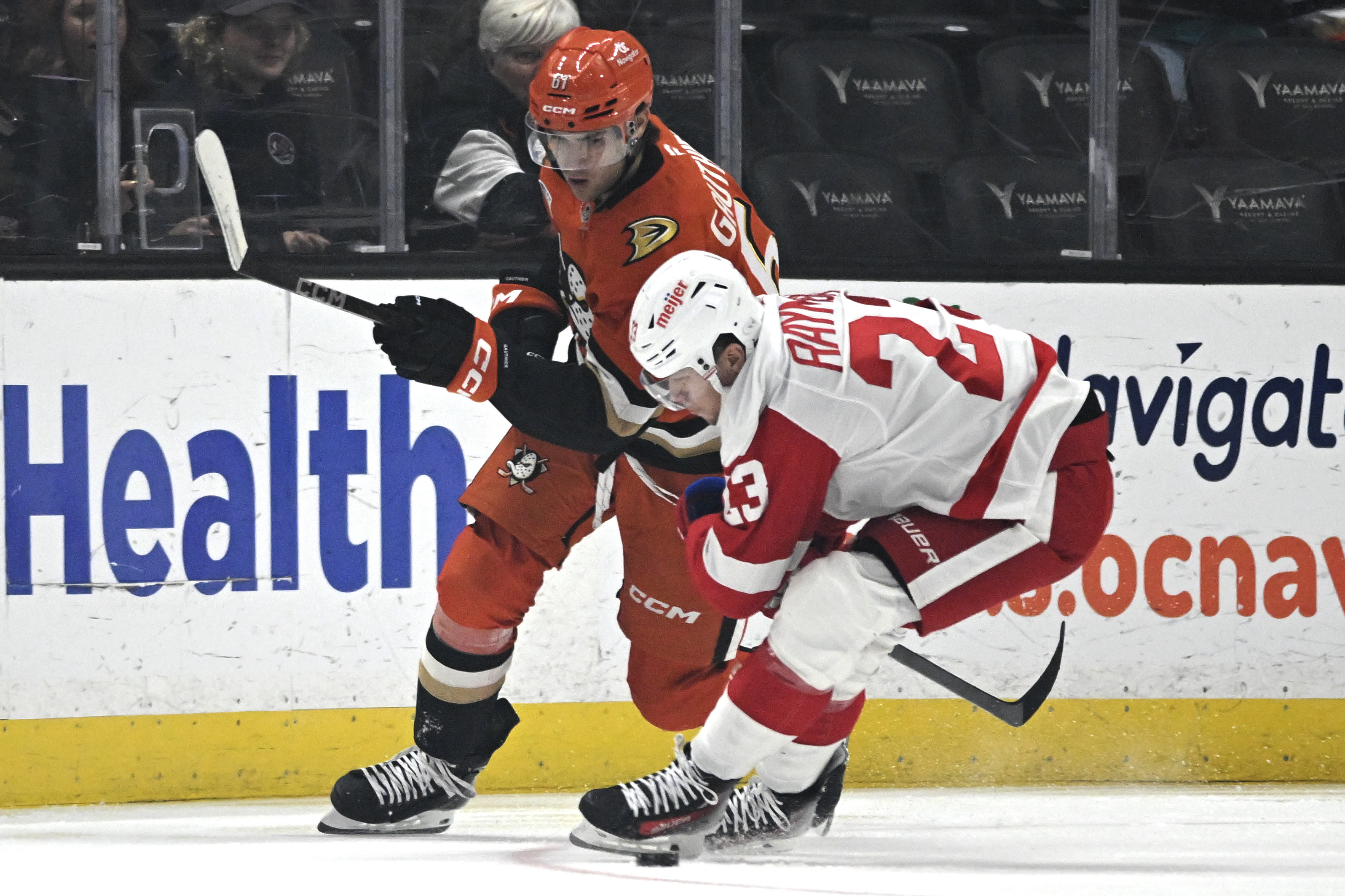 Anaheim Ducks left wing Cutter Gauthier, left, vies for the puck with Detroit Red Wings left wing Lucas Raymond during the first period of an NHL hockey game in Anaheim, Calif., Friday, Nov. 15, 2024.