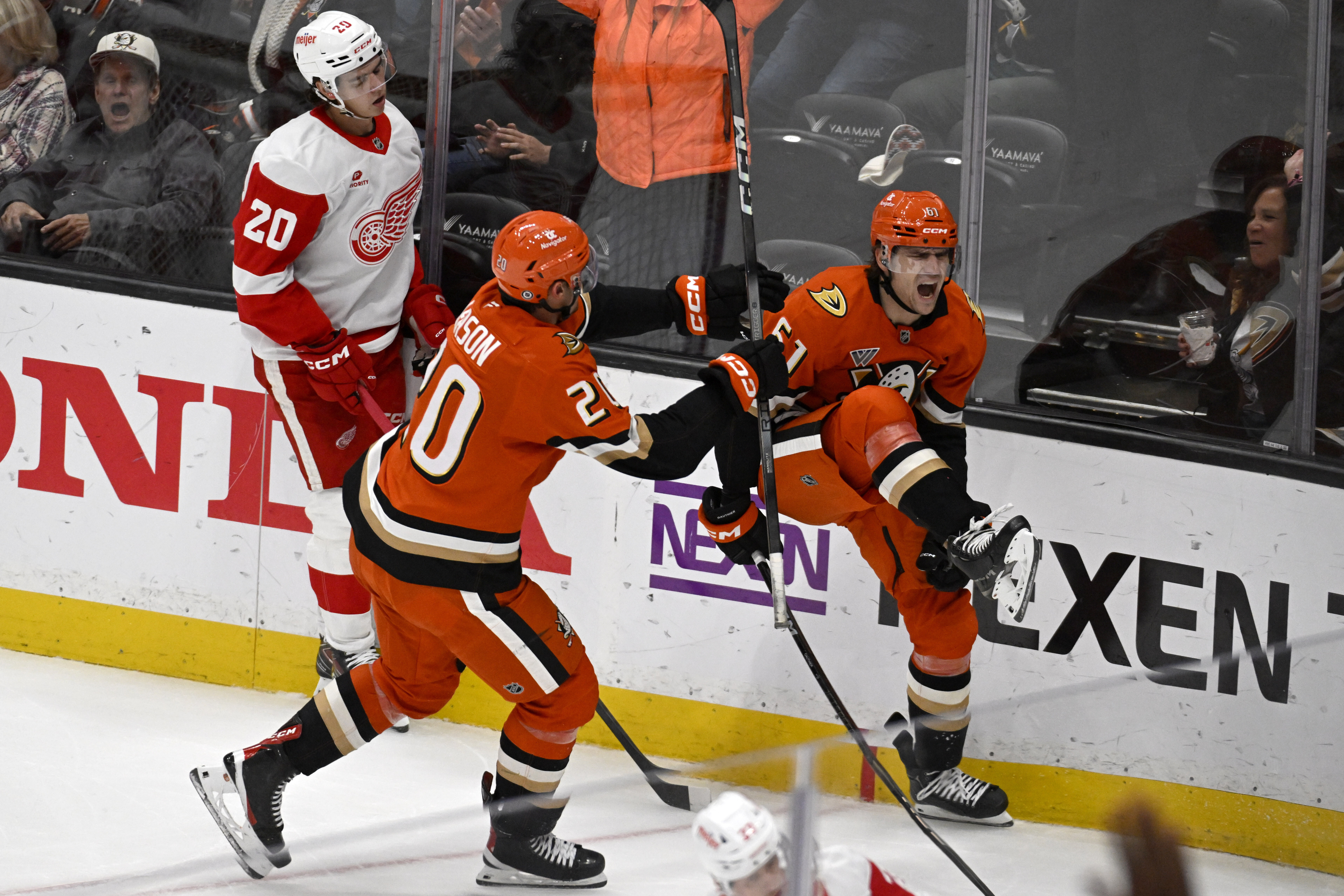 Anaheim Ducks left wing Cutter Gauthier (61) reacts with right wing Brett Leason (20) after Gauthier scores against Detroit Red Wings defenseman Albert Johansson (20) during the third period of an NHL hockey game in Anaheim, Calif., Friday, Nov. 15, 2024.