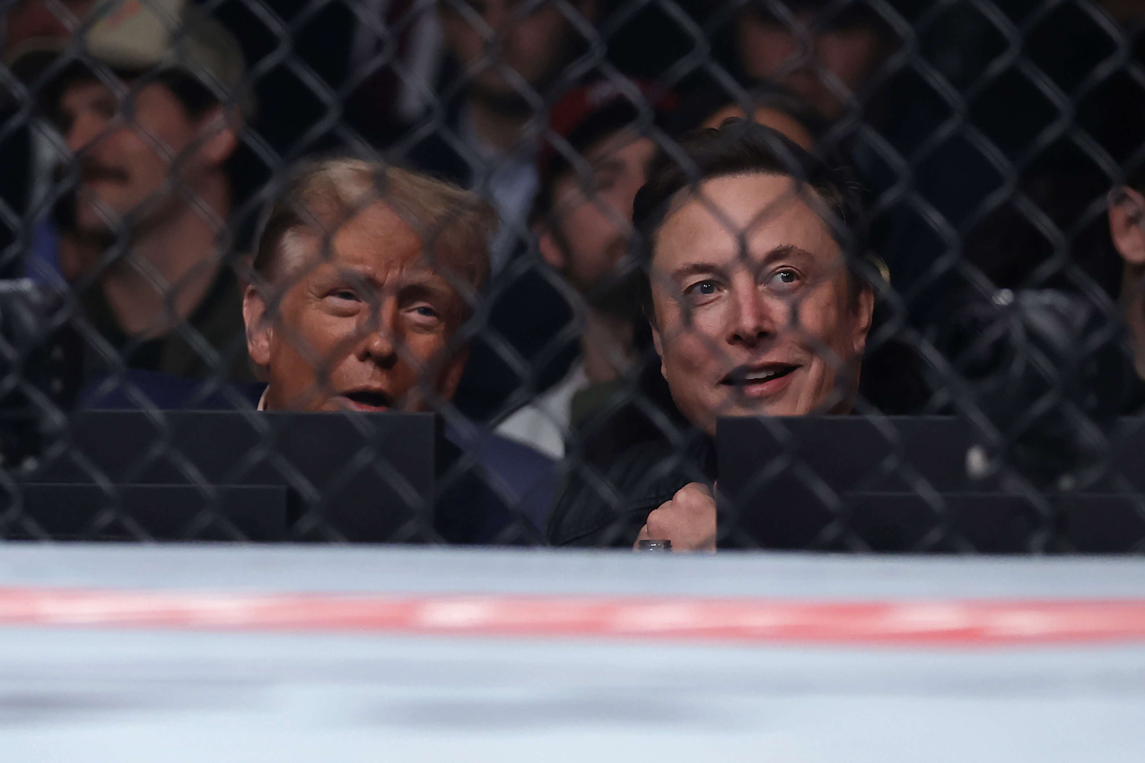 President-elect Donald Trump looks on with Elon Musk, right, at a UFC 309 mixed martial arts flyweight title bout, Saturday, Nov. 16, 2024, in New York. 