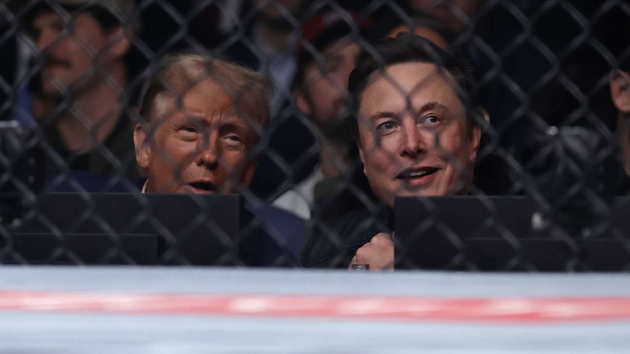 President-elect Donald Trump looks on with Elon Musk, right, at a UFC 309 mixed martial arts flyweight title bout, Saturday, Nov. 16, 2024, in New York.