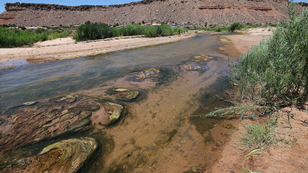 The shallow Virgin River flows through St. George on June 10, 2022. The Washington County Water Conservancy District was selected as one of five recipients of federal funding to put dollars to work for saving water in the West — an urgent goal.