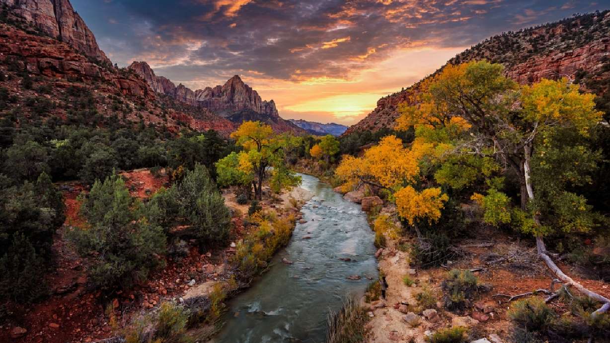 8 reasons you should book your next vacation at Zion Ponderosa