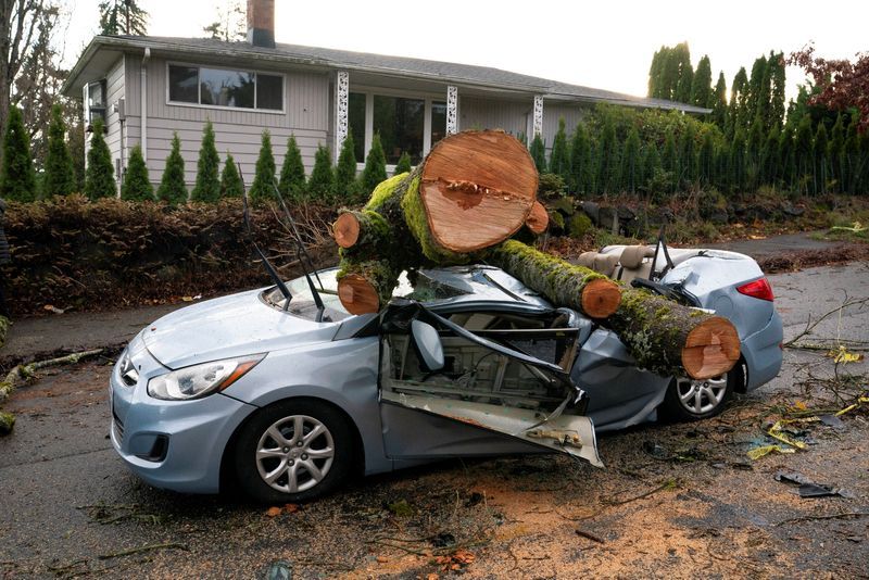 A fallen tree sits atop a car after a powerful storm hit the U.S. Pacific Northwest, causing power outages in Washington, Oregon and California while wreaking havoc on road travel, in Seattle, Wash., Wednesday. 