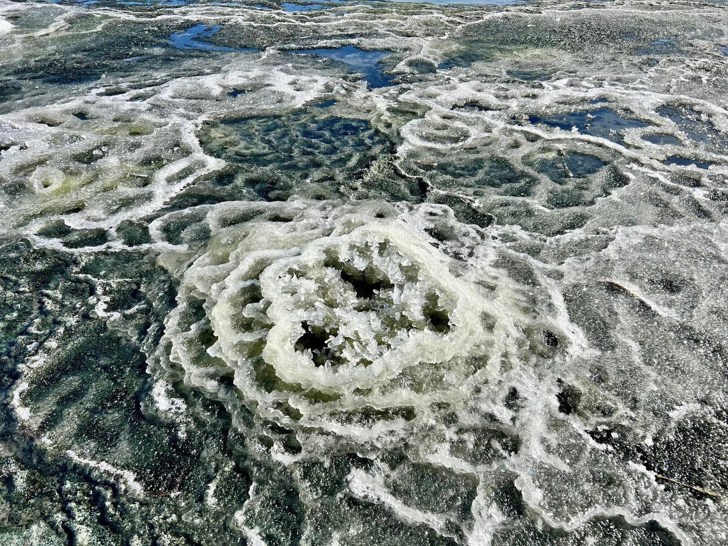 Rare mirabilite formations spotted on Great Salt Lake