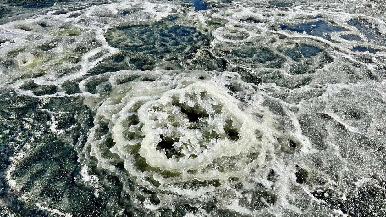 Rare mirabilite formations were recently spotted on the waters of Great Salt Lake.