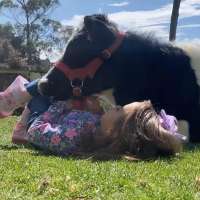 Have You Seen This? Just a girl and her cow