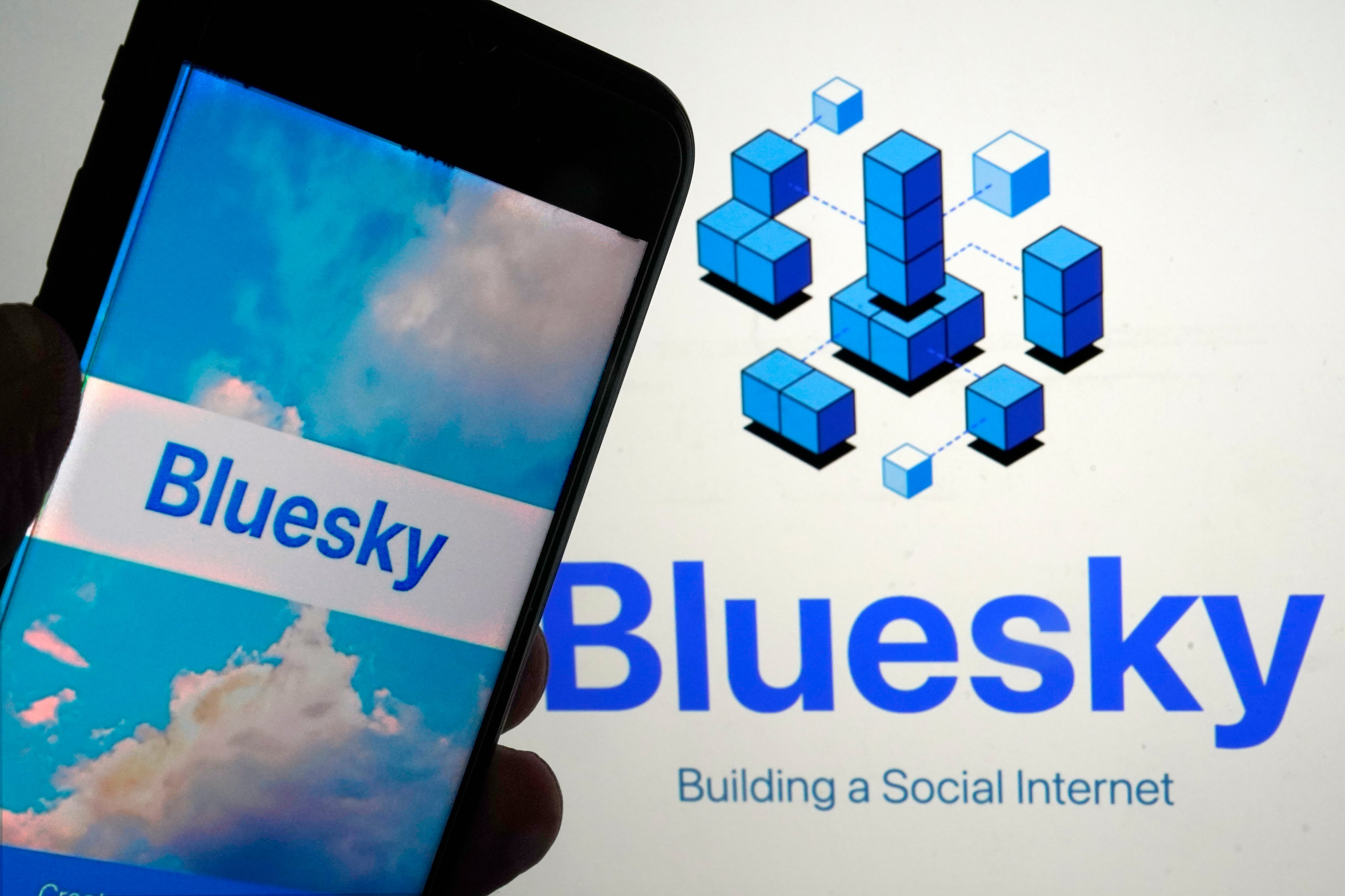 'Smart and useful'? Social platform Bluesky booming as X users flee 