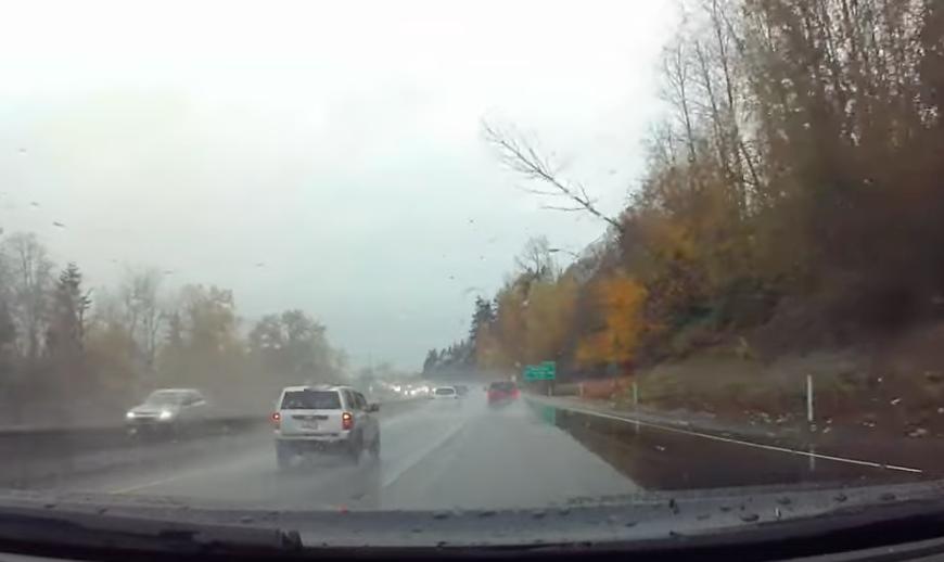 Have You Seen This? Falling tree creates some highway chaos