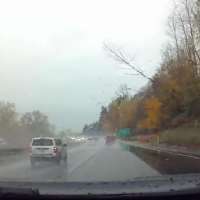 Have You Seen This? Falling tree creates some highway chaos