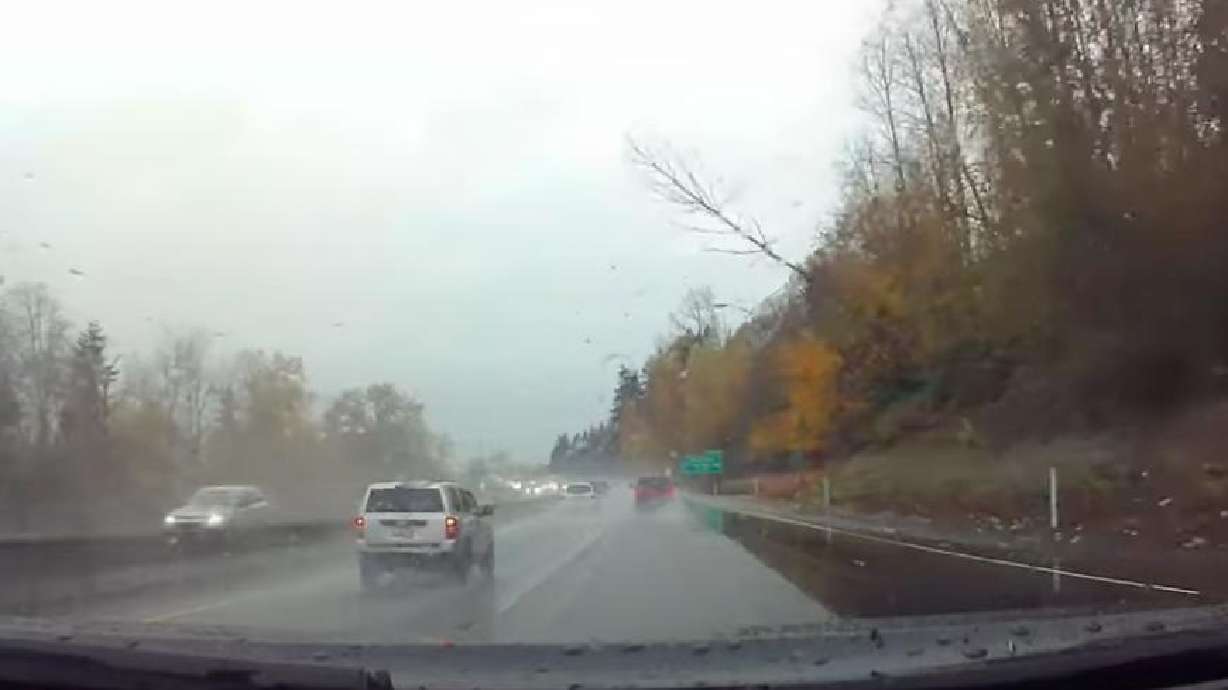 A bomb-cyclone storm wreaked havoc on the West Coast, including the highway where this tree fell near Vancouver, Washington, on Nov. 19.