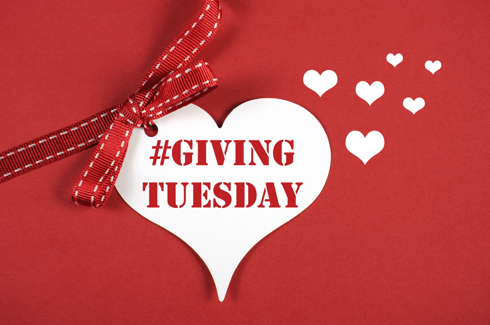 Giving Tuesday important for lesser-known nonprofits, too