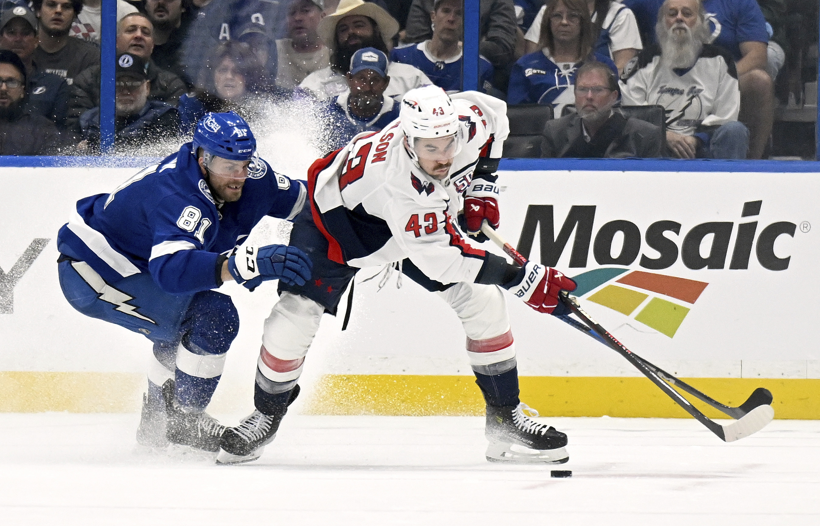 Tampa Bay Lightning defenseman Erik Cernak (81) and Washington Capitals right wing Tom Wilson battle for the puck during the second period of an NHL hockey game, Wednesday, Nov. 27, 2024, in Tampa, Fla. 
