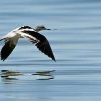 What's on tap for Great Salt Lake in the 2025 Utah general legislative session