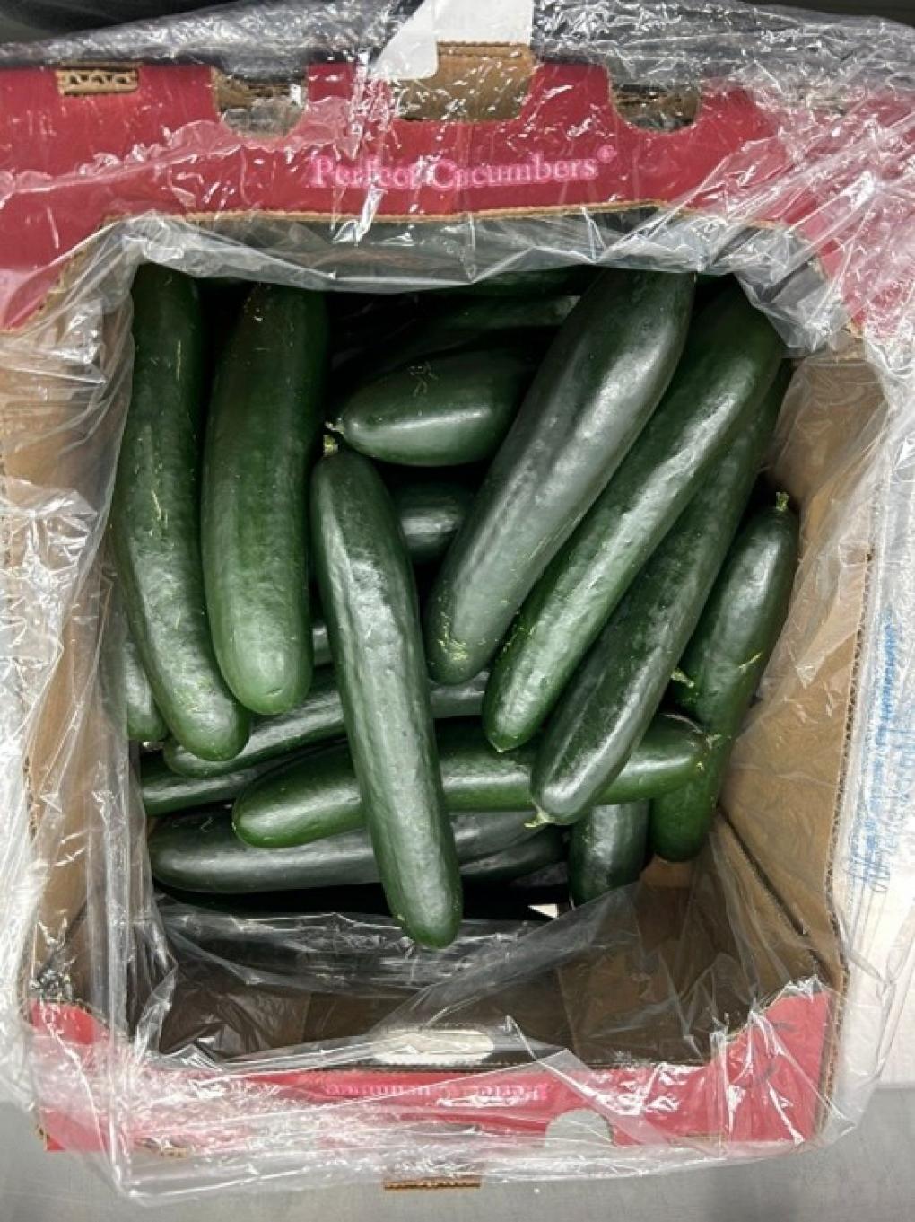 Salmonella outbreak linked to cucumbers in Utah, at least 18 other states