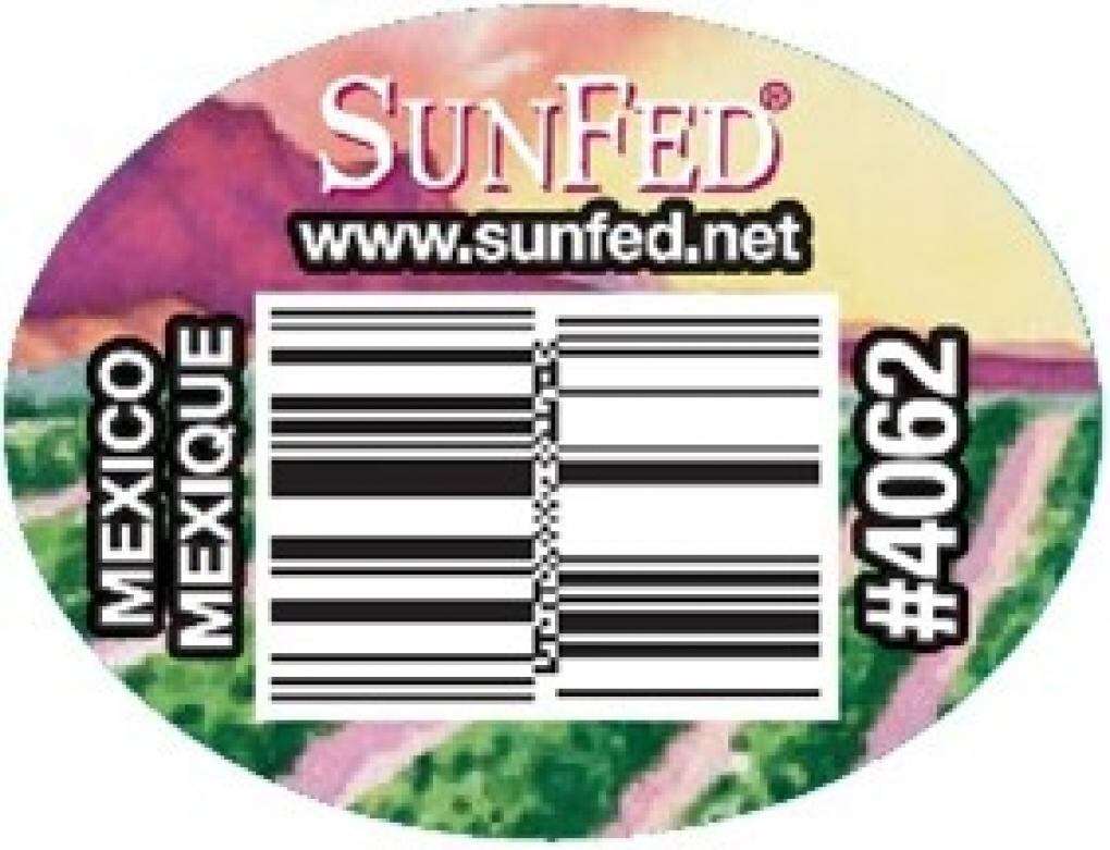 Salmonella outbreak linked to cucumbers in Utah, at least 18 other states