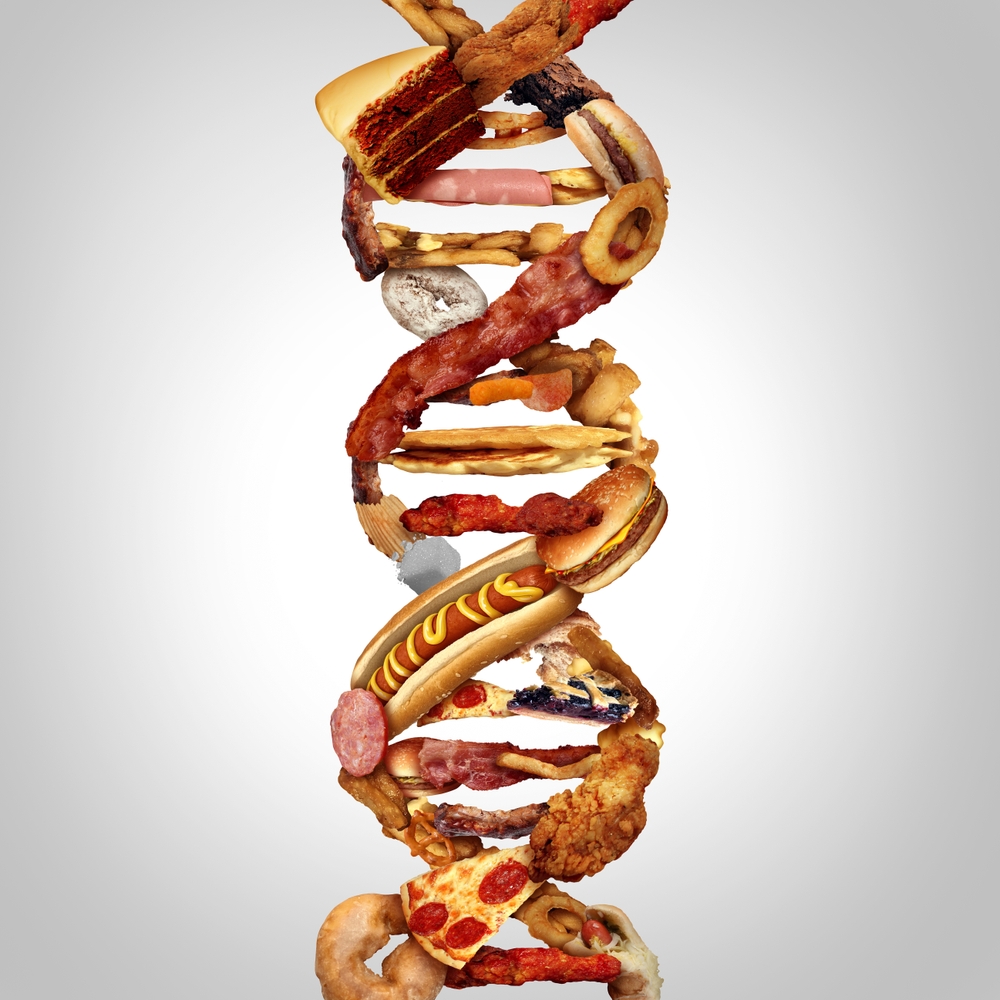 New study: Fat has memory. The only way to erase it and keep weight off is ...