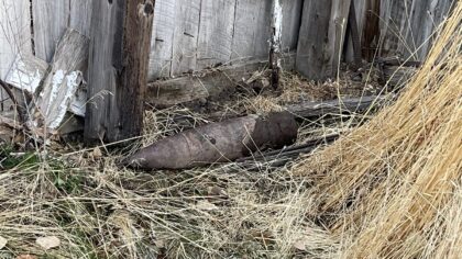 Live artillery shell discovered behind Grantsville home