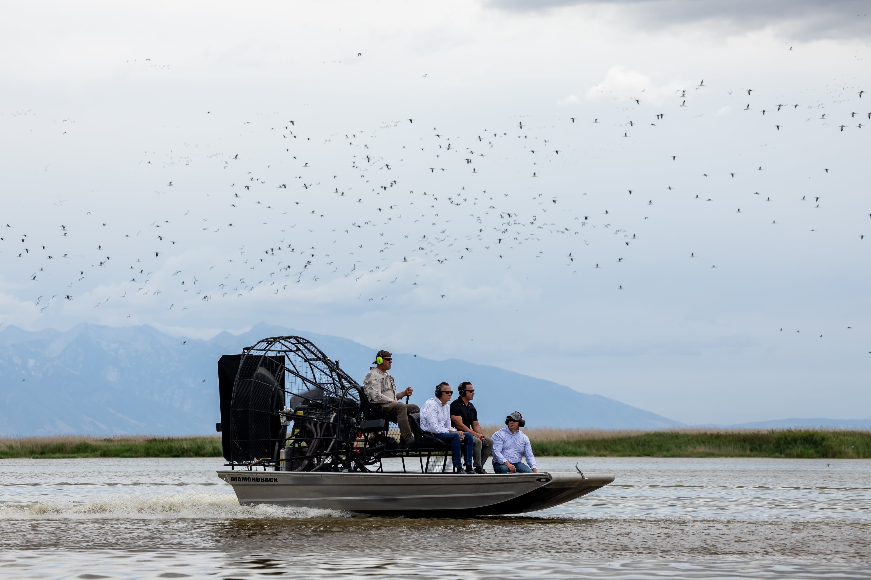 Chad Cranney, assistant wildlife manager for the Utah Division of Wildlife Resources, pilots a fan boat carrying Sen. Mitt Romney, R-Utah, Utah House Speaker Brad Wilson, R-Kaysville, and Utah Rep. Joel Ferry, R-Brigham City, left to right, on a tour of the Great Salt Lake in Farmington Bay on Aug. 19.