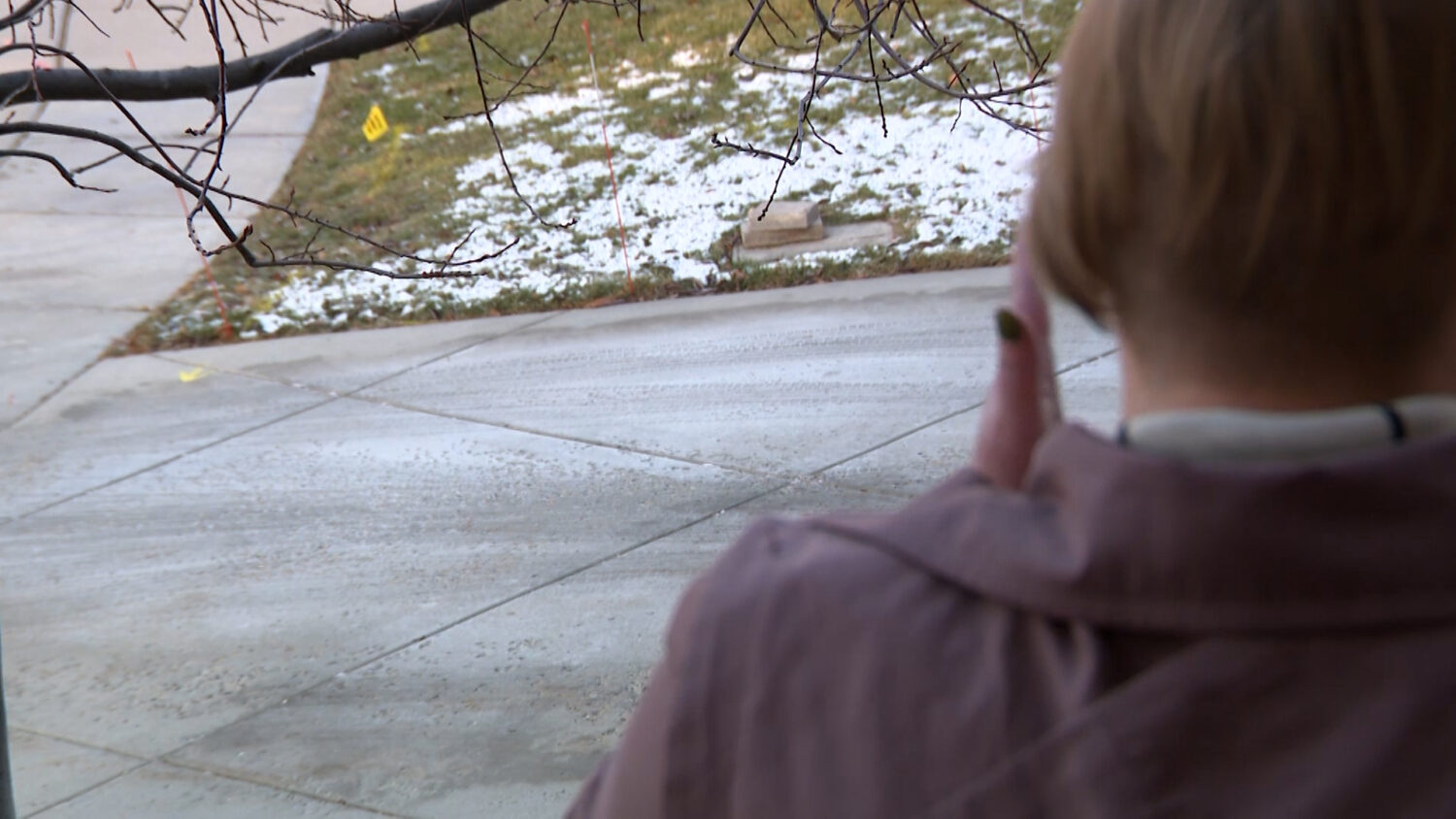 Woman shares her story after rideshare drivers charged in Salt Lake County sexual abuse cases