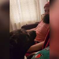 Have You Seen This? This dog is asking to get on your lap