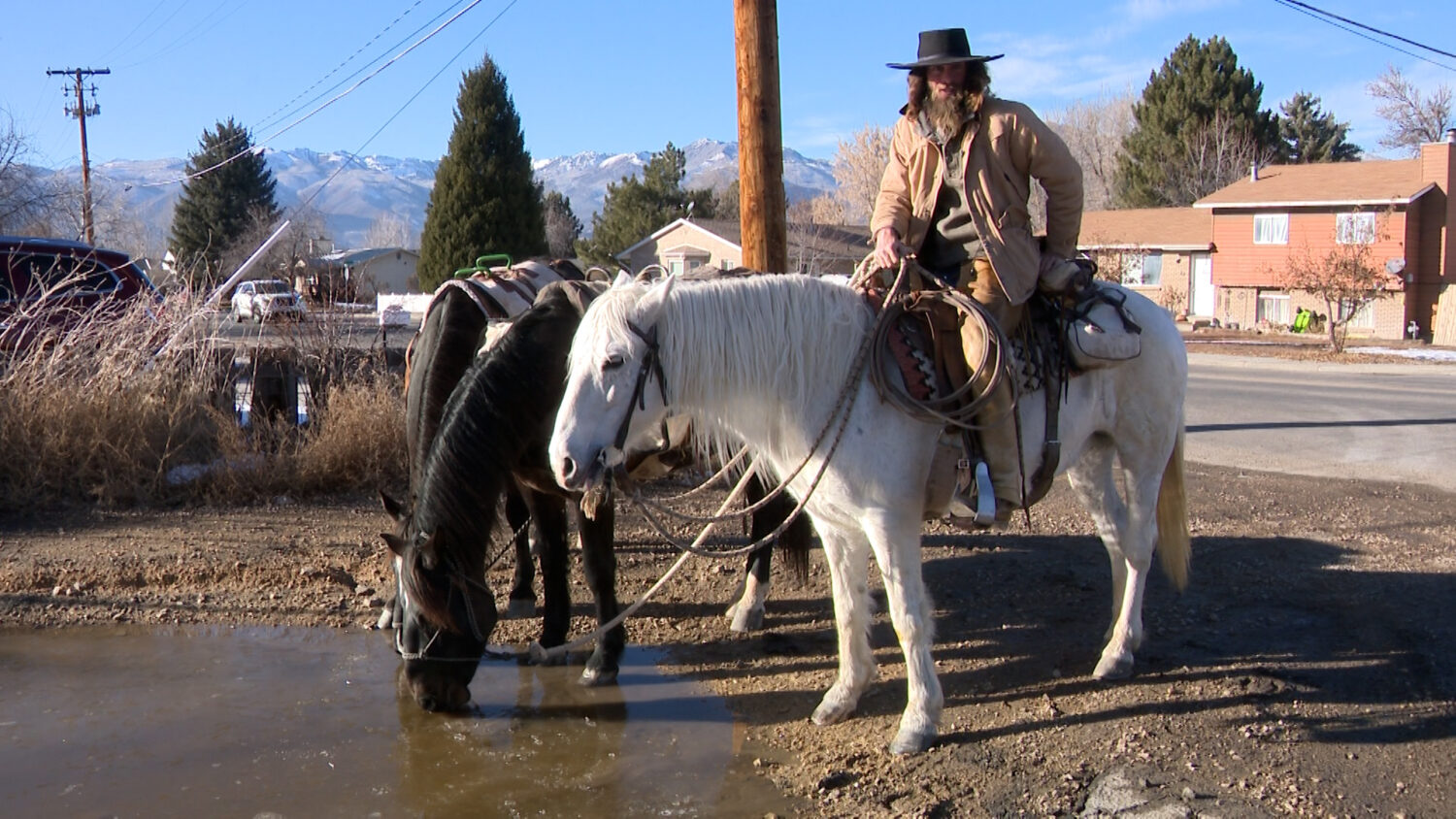 Heber City 'Horse Man' returns home after long journey