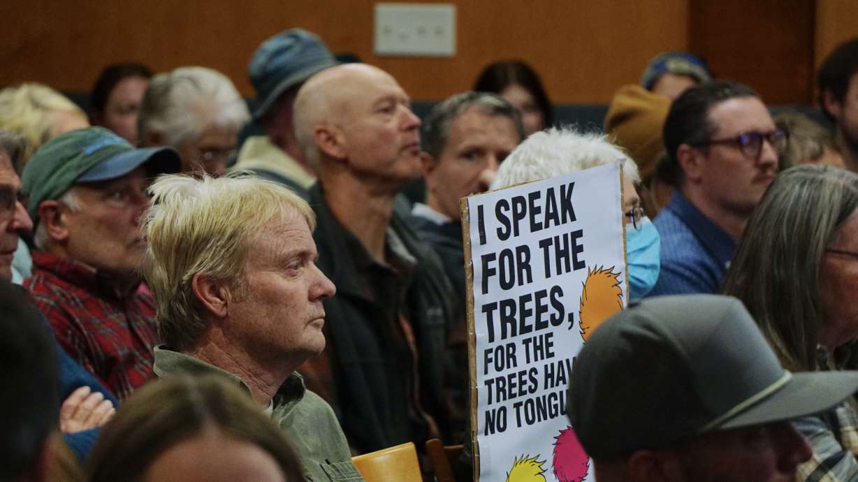 A Logan resident expresses disapproval of a controversial pipeline project along Canyon Road, which would require the removal of large ash trees, during a city meeting on Thursday.