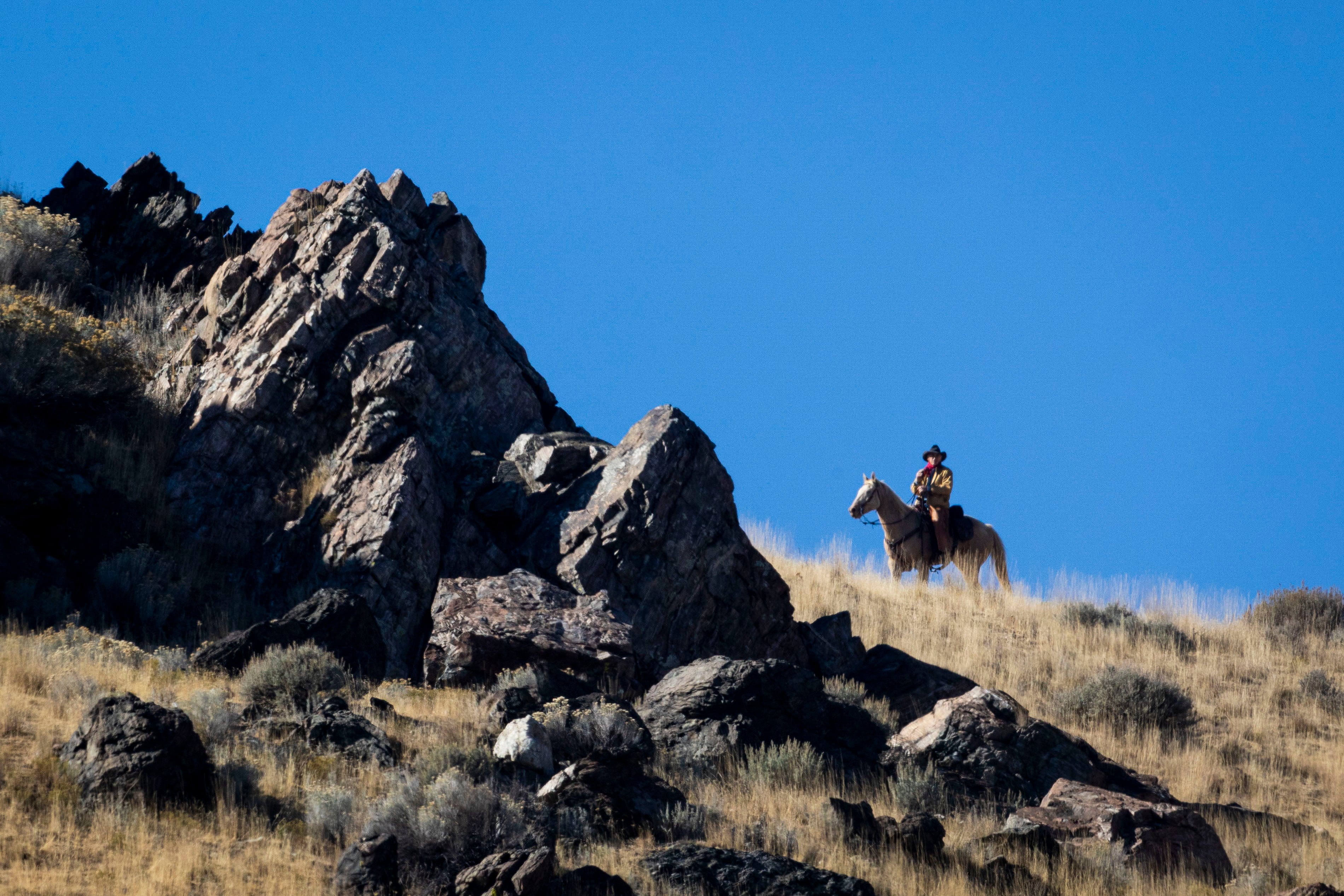 A rider roams the mountainside during the 36th annual Bison Roundup, held at Antelope Island State Park, southwest of Syracuse, on Oct. 26.