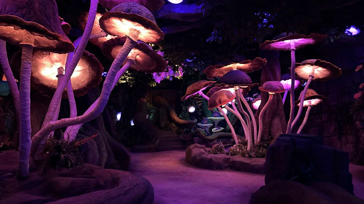 The fungi forest at Dreamwalk Park, an immersive indoor theme park opening soon at the University Place Mall in Orem.